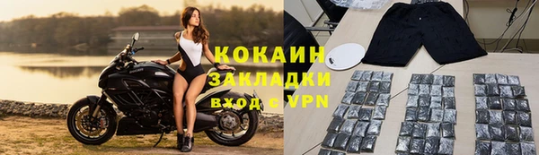 индика Армянск