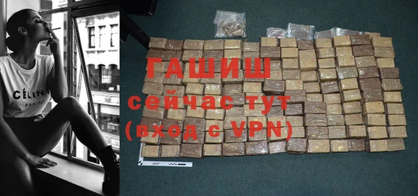 индика Покачи
