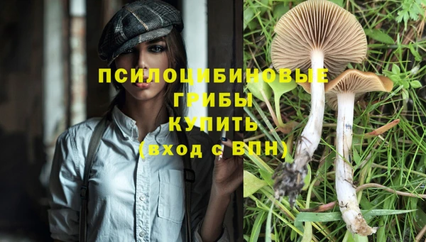 мяу мяу мука Алзамай