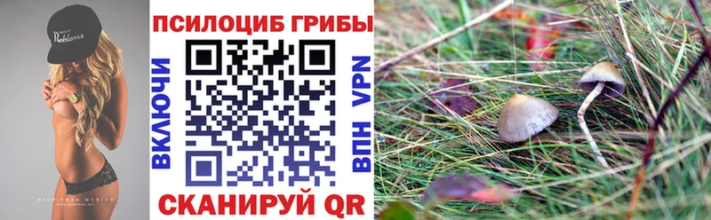 продажа наркотиков  Жуковка  Галлюциногенные грибы MAGIC MUSHROOMS 